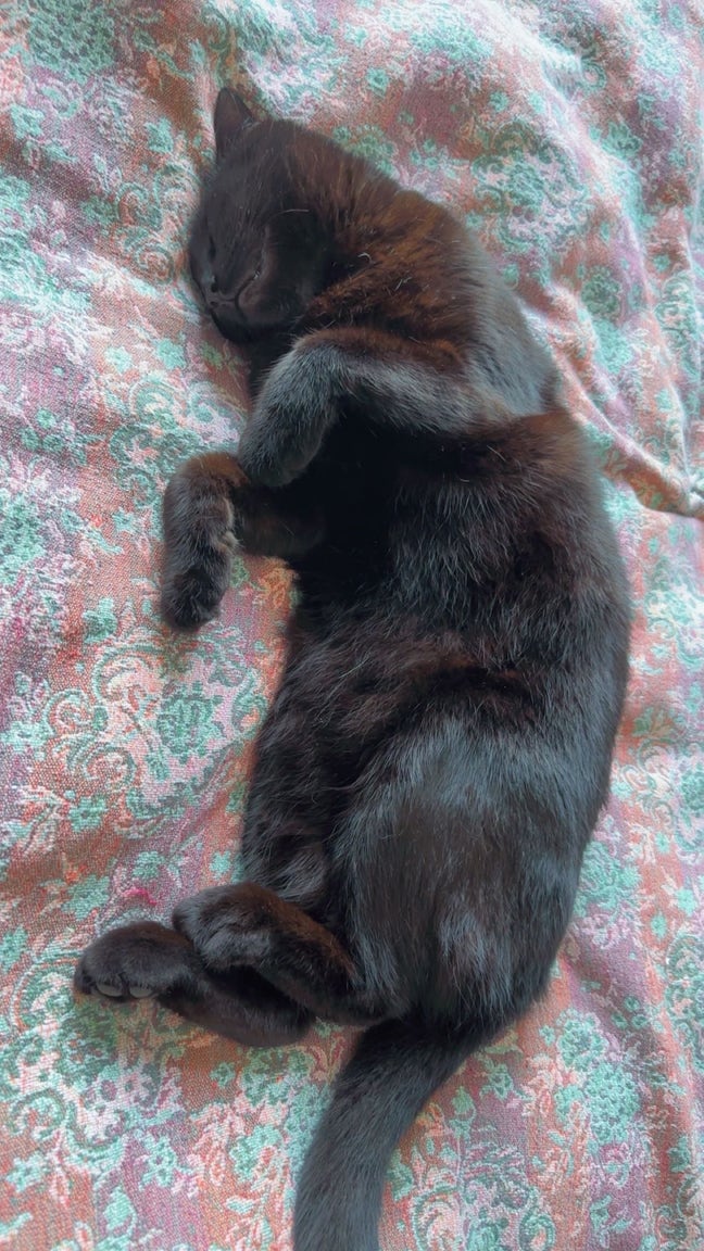 Looking to rent part time as I work 4 on 4 off.  Main Photo