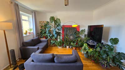 Room in luscious Stepney Green flat Main Photo