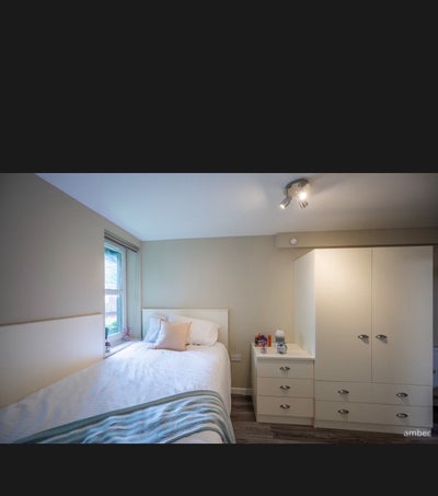 Room available in Peterson hall Main Photo