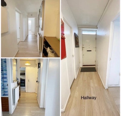 Room for Rent  Main Photo