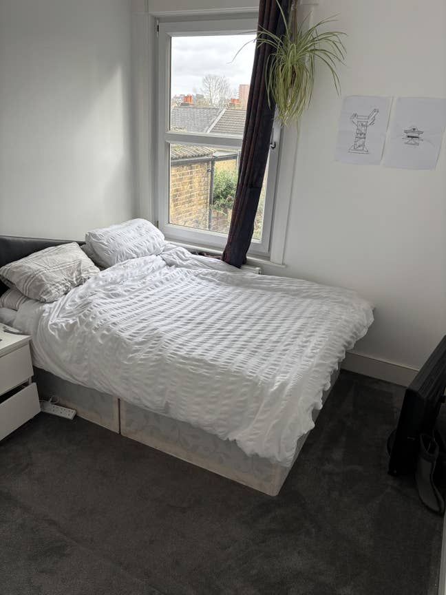 Bright spacious double room in N17 House  Main Photo