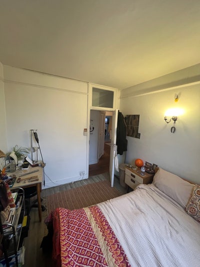 Double room available in bright Brixton Hill flat Main Photo
