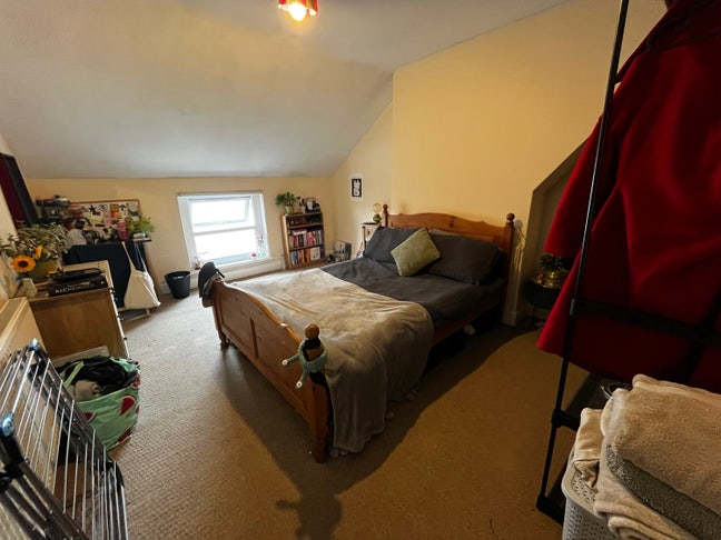 Double room in large 3 storey flat in Pontcanna Main Photo