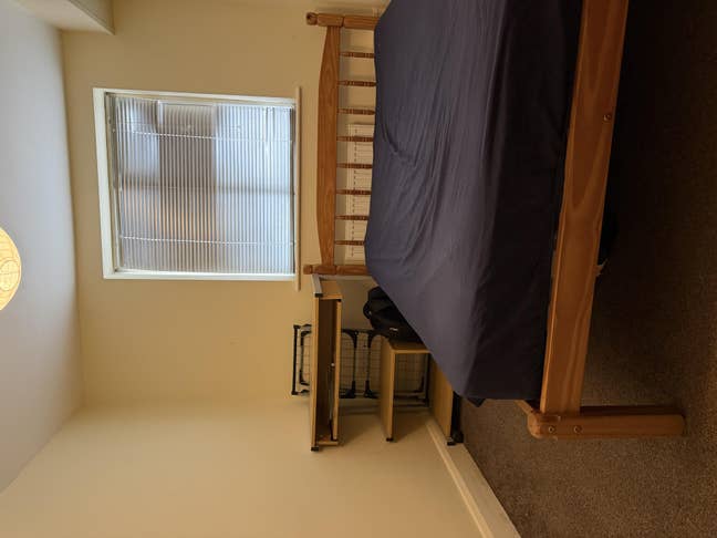 Sophie road  Main Photo