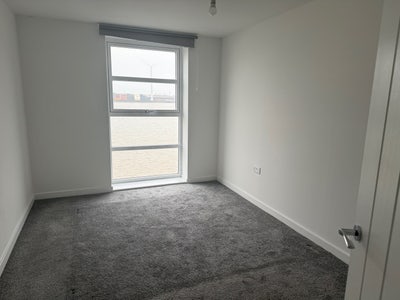 Professional flat mate needed  Main Photo