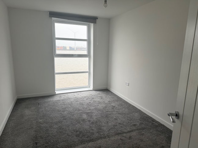 Professional flat mate needed  Main Photo