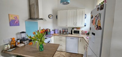 Large room in a spacious and comfortable home  Main Photo