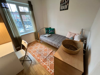 Bright Single Room Main Photo