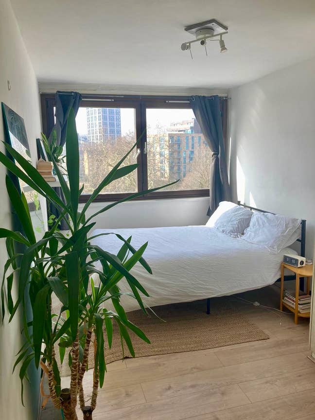 Housemate wanted for 3 bed flat in Stamford Hill Main Photo