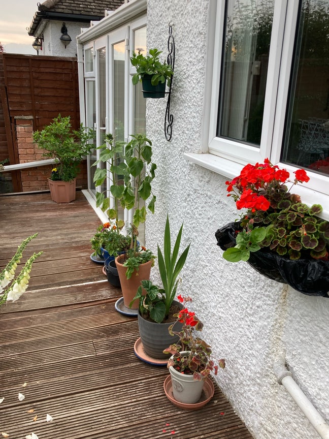 Room for rent Main Photo