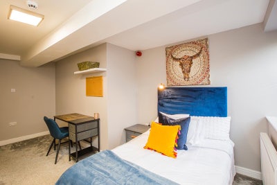 Luxury Furnished Rooms in Professional House Share Main Photo