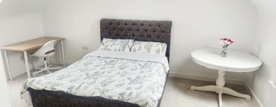 Double bedroom available for rent Main Photo