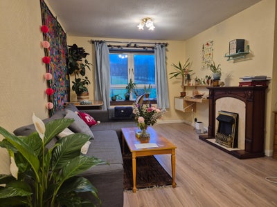 Short term single room available  Main Photo