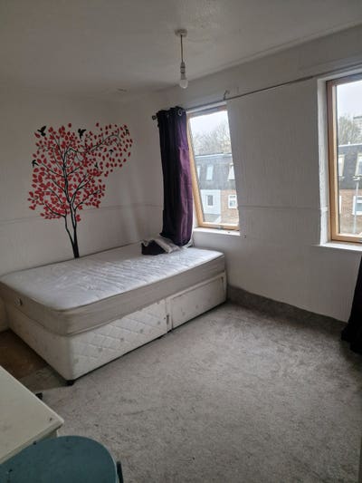 Dubel room & single room  Main Photo