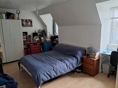 Two rooms in Stoke Newington flat Main Photo