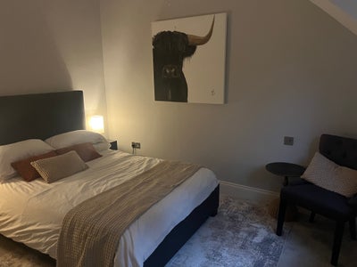 Flexible letting for professional in W9 Main Photo