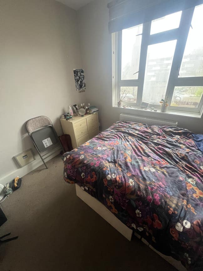 Gorgeous Zone 1 sublet next to Battersea Powerstat Main Photo