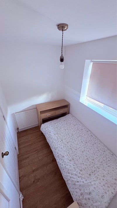  Single  room  -  females preferably Main Photo