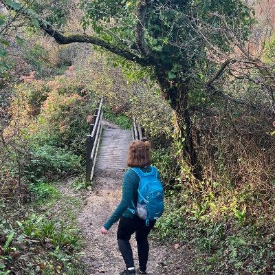 Looking for accommodation in Bishops waltham. Main Photo