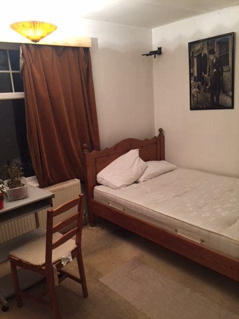 Seeking cat friendly lady lodger Main Photo