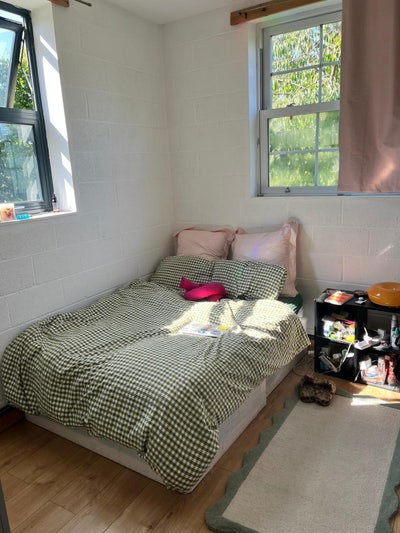 Spacious Room in a Veggie Sunny 2 Bed Flat  Main Photo