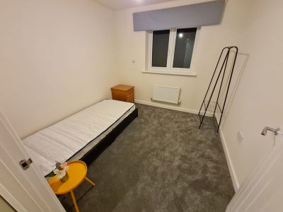 Hello everyone 😎 I have a single room available  Main Photo