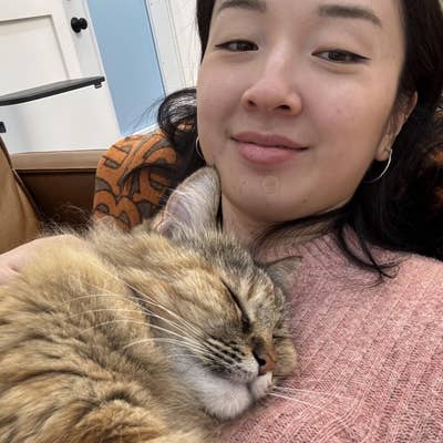 Professional with a cat looking for a room Main Photo