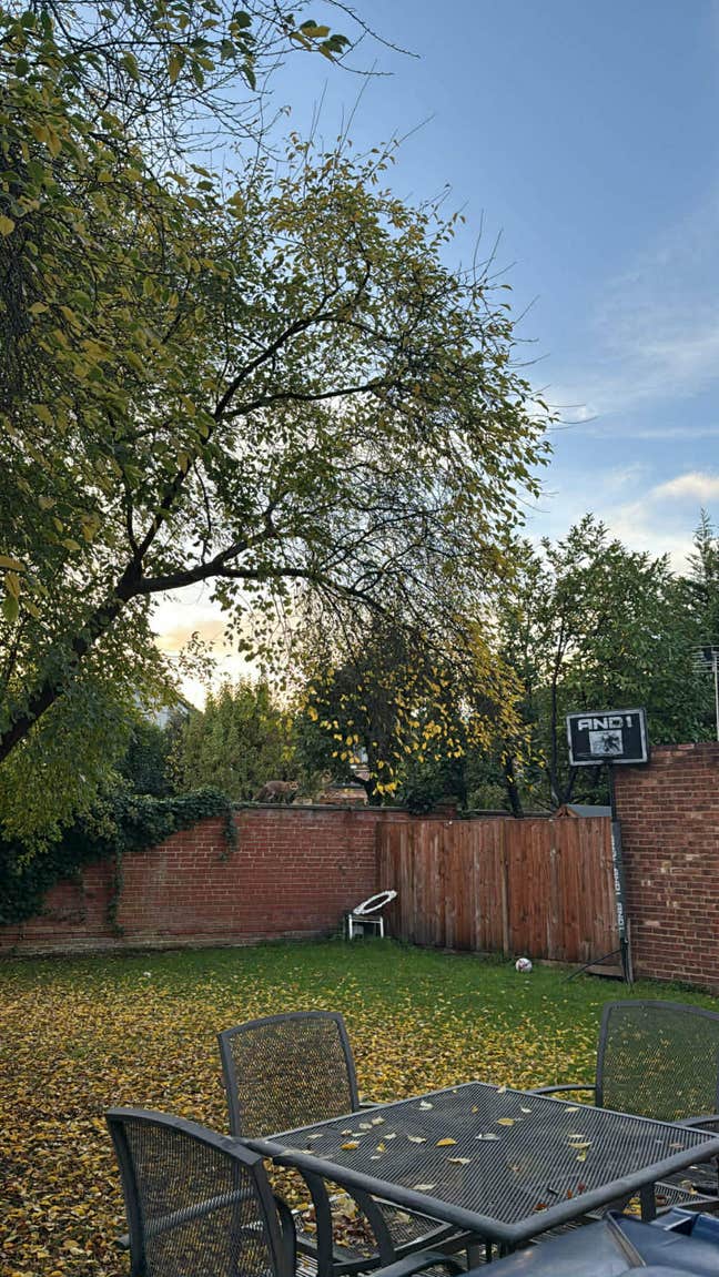 Large ensuite room in Acton with Garden Main Photo