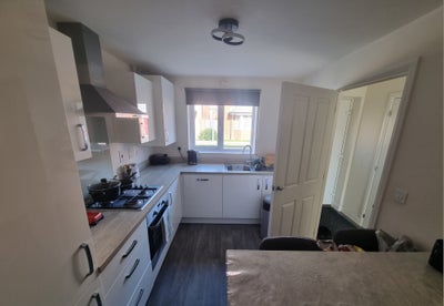 Single Room available Main Photo