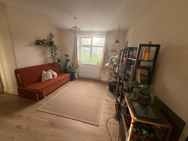 Calm Home + Lovely Cat | Respectful Housemate Main Photo