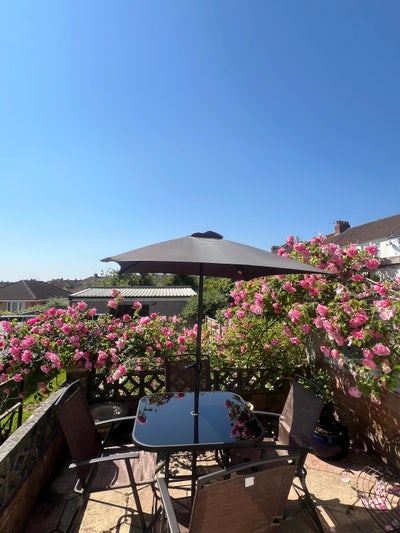  Bright bedroom  in friendly house  - bills incl. Main Photo