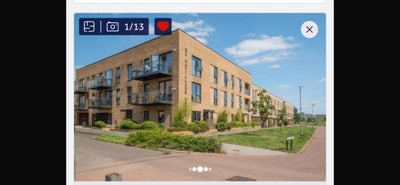 Single Room Available in Two Bedroom Flat  Main Photo