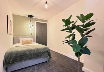 🚨  Recently Refurbished Studio Available Now🚨 Main Photo