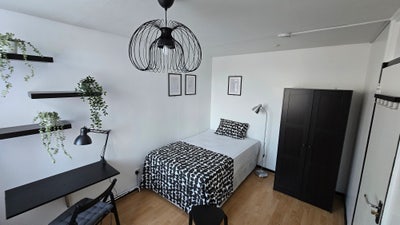 2 double rooms - E1 - Tower Hill ! - available NOW Main Photo