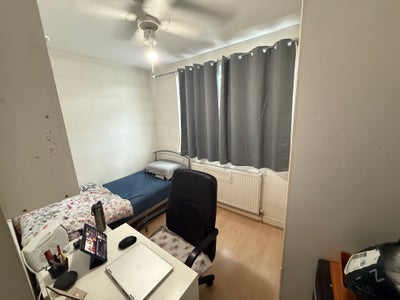 Single Room with food  Main Photo