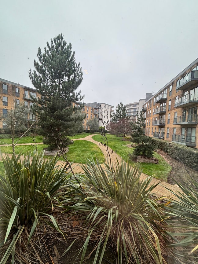 A modern studio in Wimbledon available 1st May Main Photo