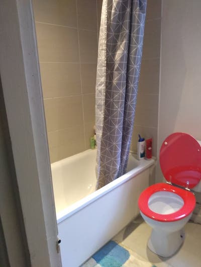 Professional feamle looking for a houseamte Main Photo