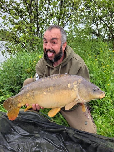 39 year old Male seeks a single or double room Main Photo