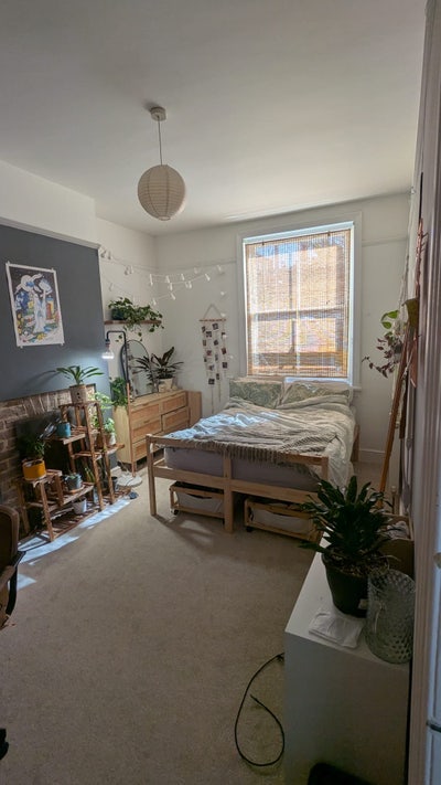 DOUBLE room in a gorgeous flat in central Hove  Main Photo