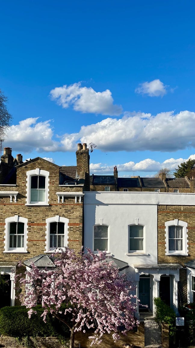 Large Room in Stoke Newington  Main Photo
