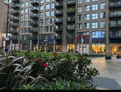 Modern 1 bed apartment with amazing amenities  Main Photo