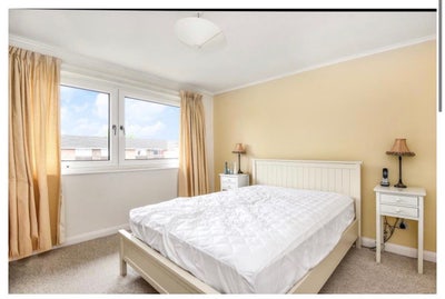 Rooms Available Near Templar Square Main Photo