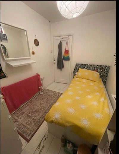 Cozy single room available in an all-female house Main Photo
