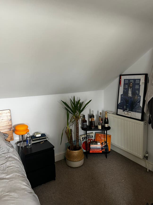 Large Double Room in Fulham Main Photo