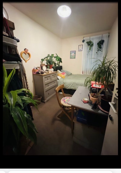 Central room suitable for single person Main Photo