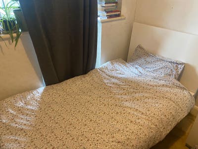 Female lodger Room in Detached House SW15 3QJ Main Photo