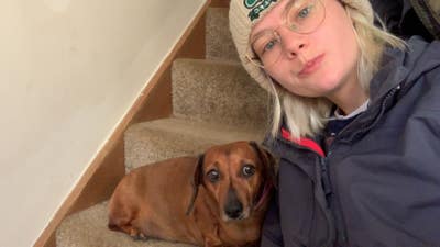 Looking for a friendly flat share in north London Main Photo