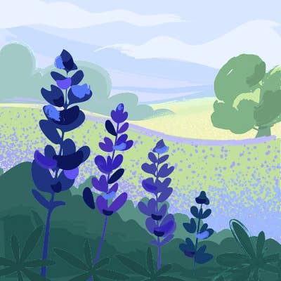 2 rooms sought by 2 males Main Photo