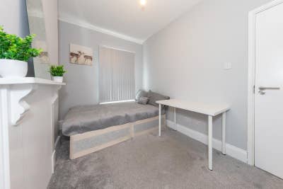 A room to let Main Photo