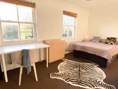 Spacious Ensuite Room-Friendly House/Walk to Town Main Photo